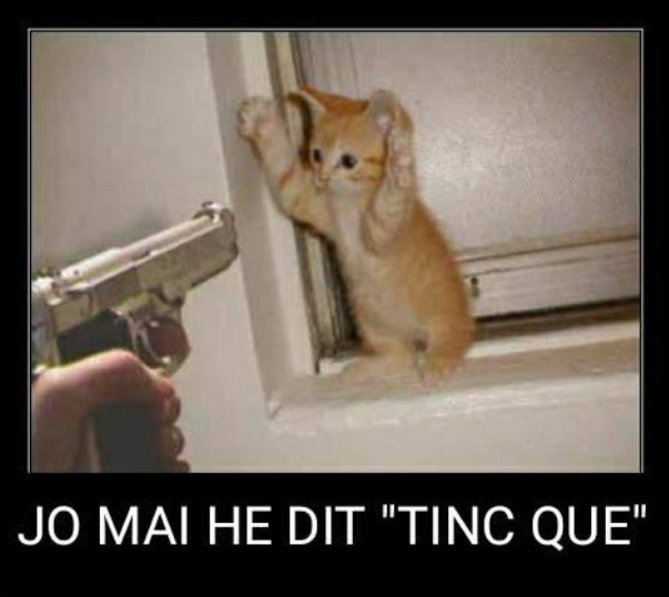 3.Joan Molas.PNG
