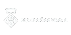 250x125-diputacio_g.png
